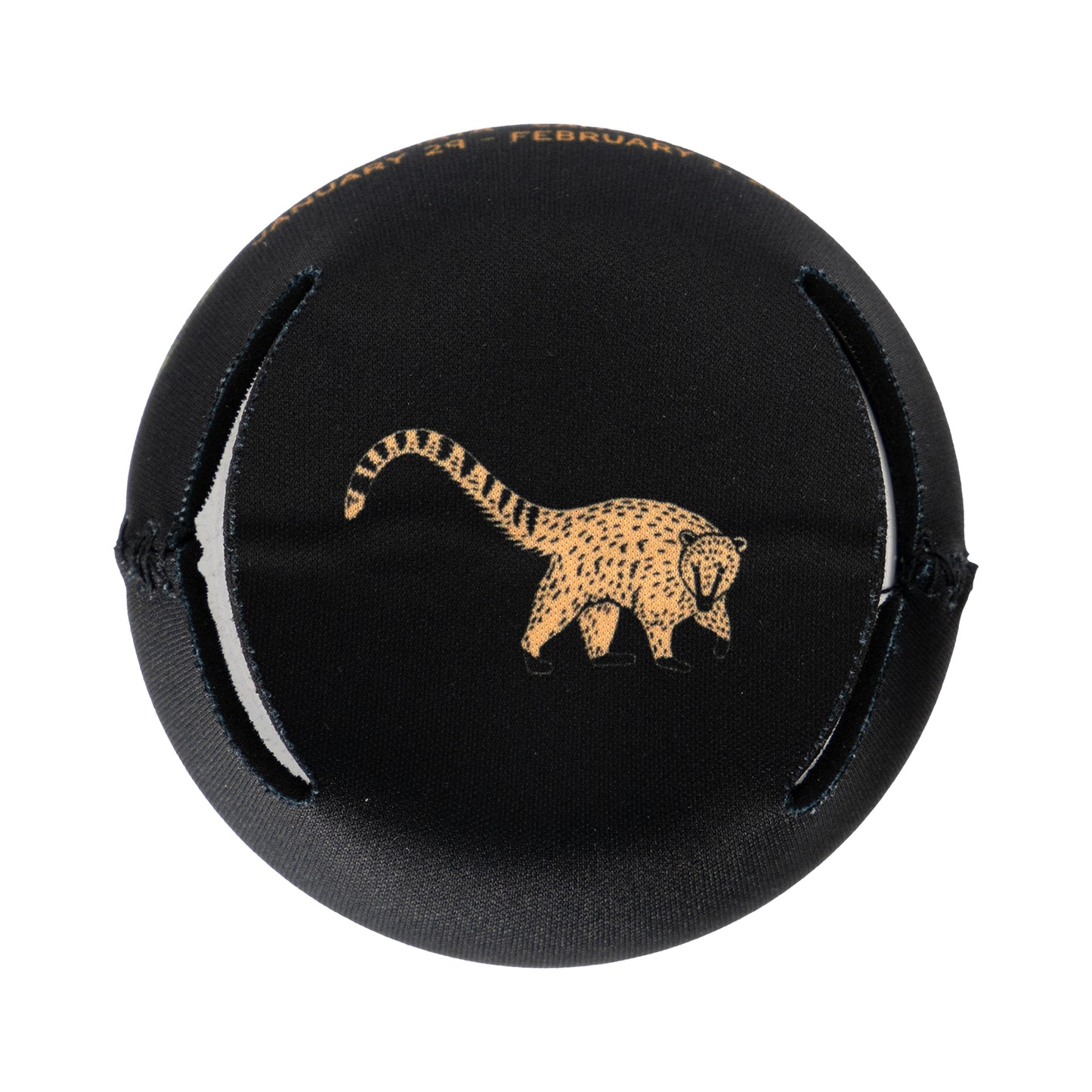 Coati Asteroid Discovery Can Cooler