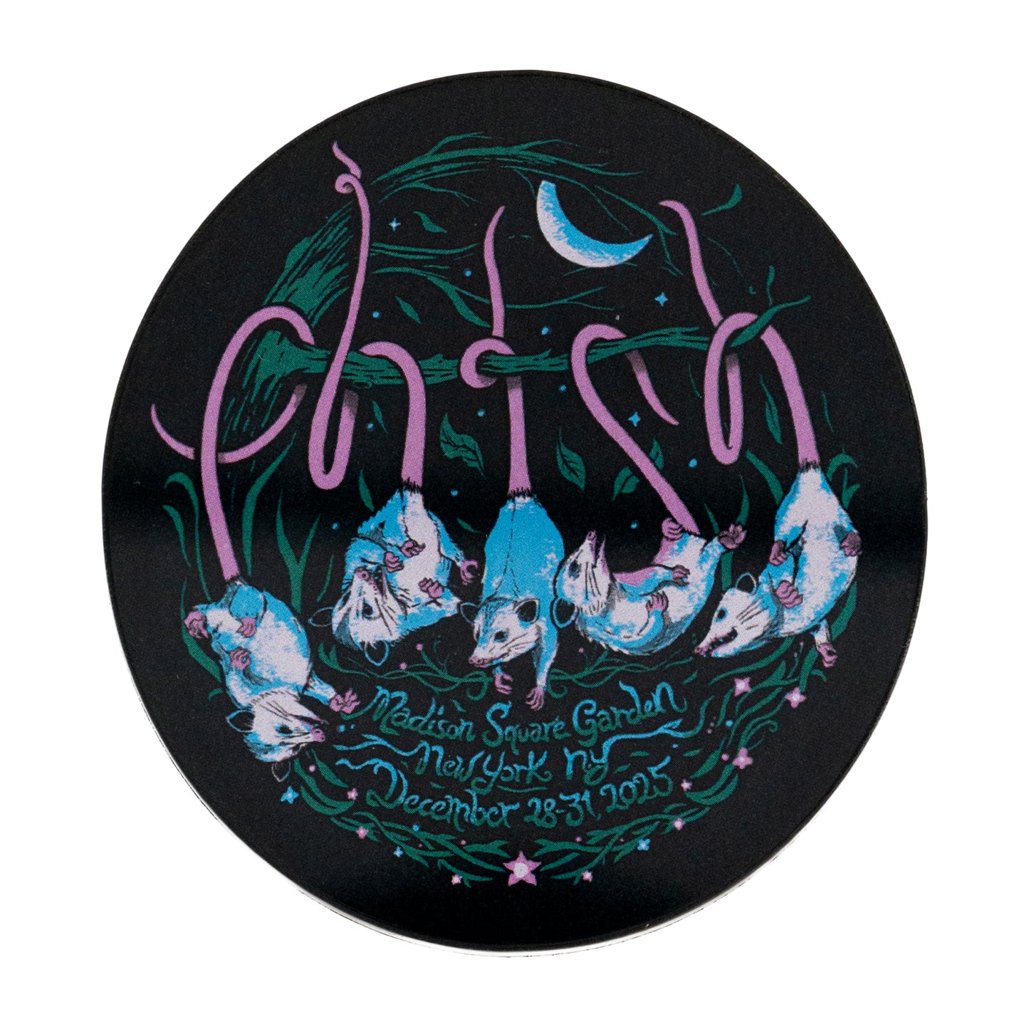 Hangin' Possum New Years Run 25 Magnet