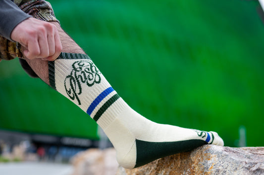Walker Sphere '26 Socks