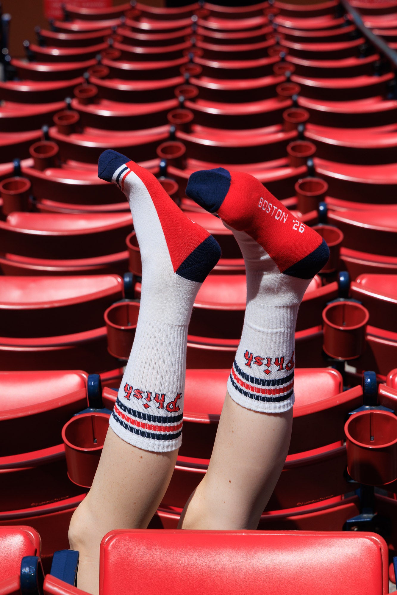 Fenway Baseball Sox