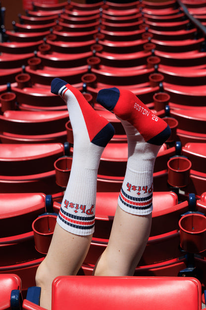 Fenway Baseball Sox