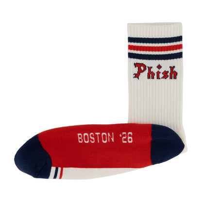 Fenway Baseball Sox