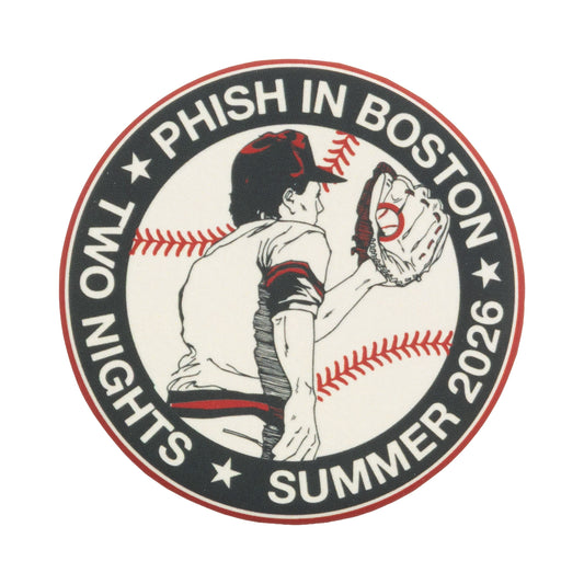 Fly Ball Fenway Round Button
