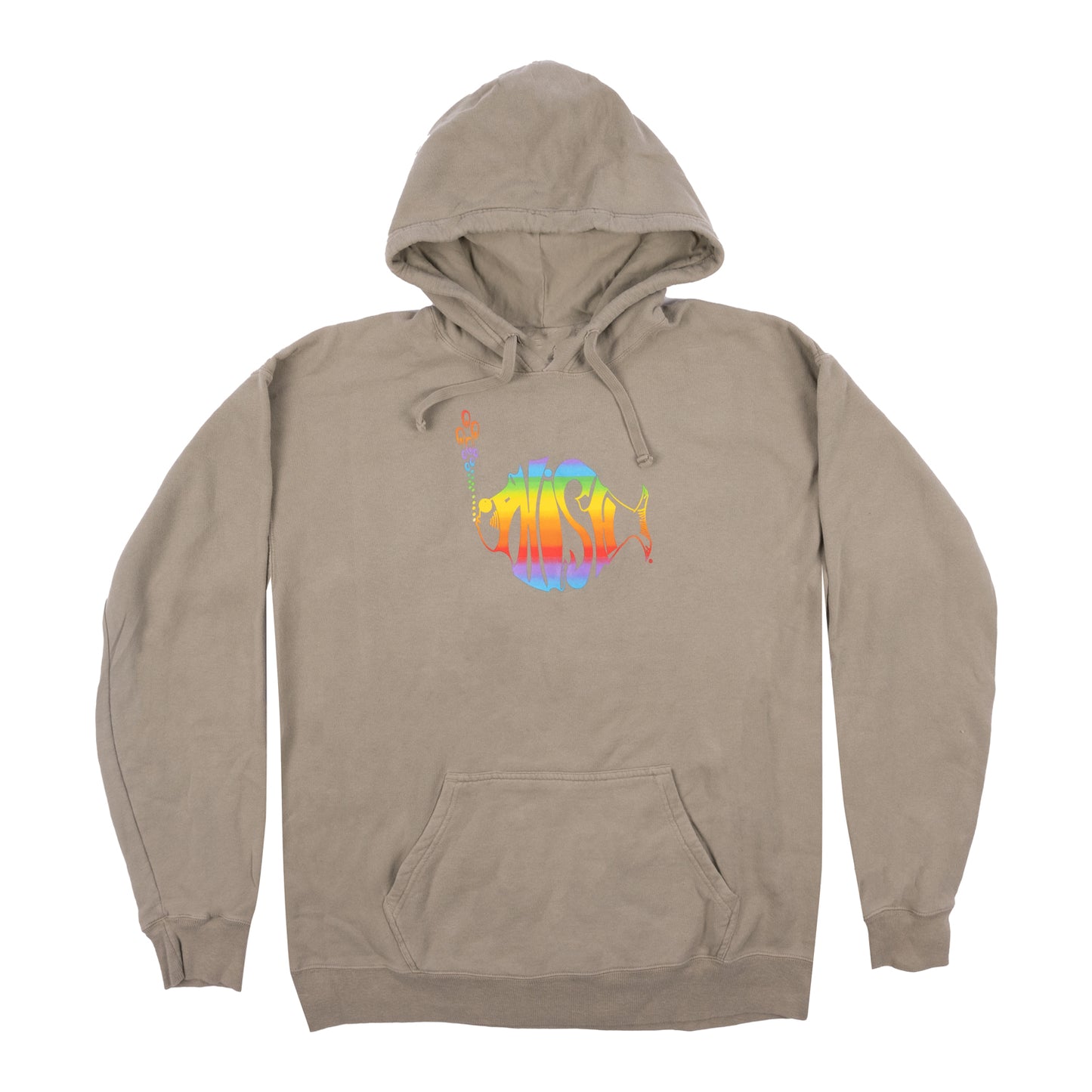 Classic Rainbow Logo Hoodie