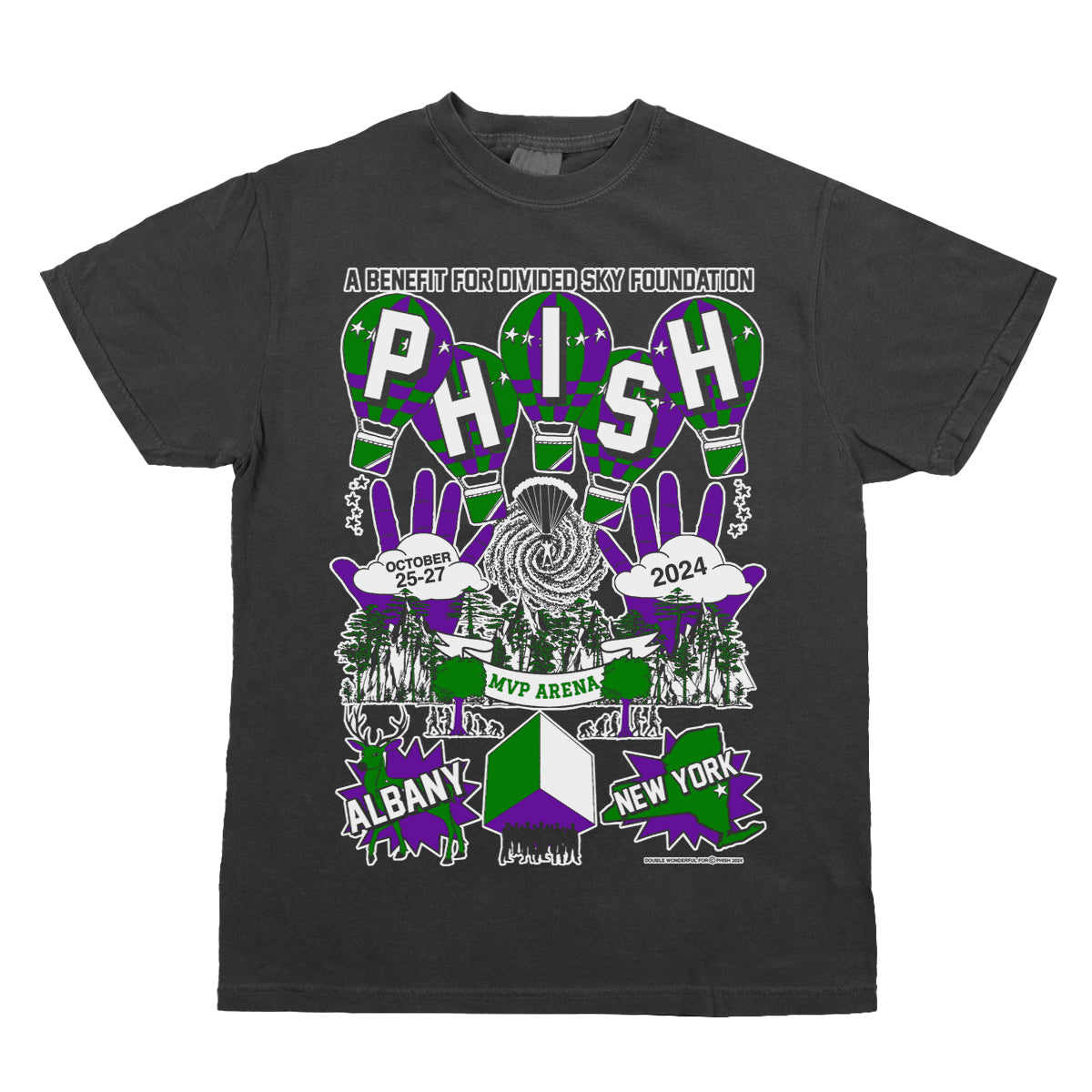 Floating In Albany Phish x Double Wonderful Tee on Pepper Grey