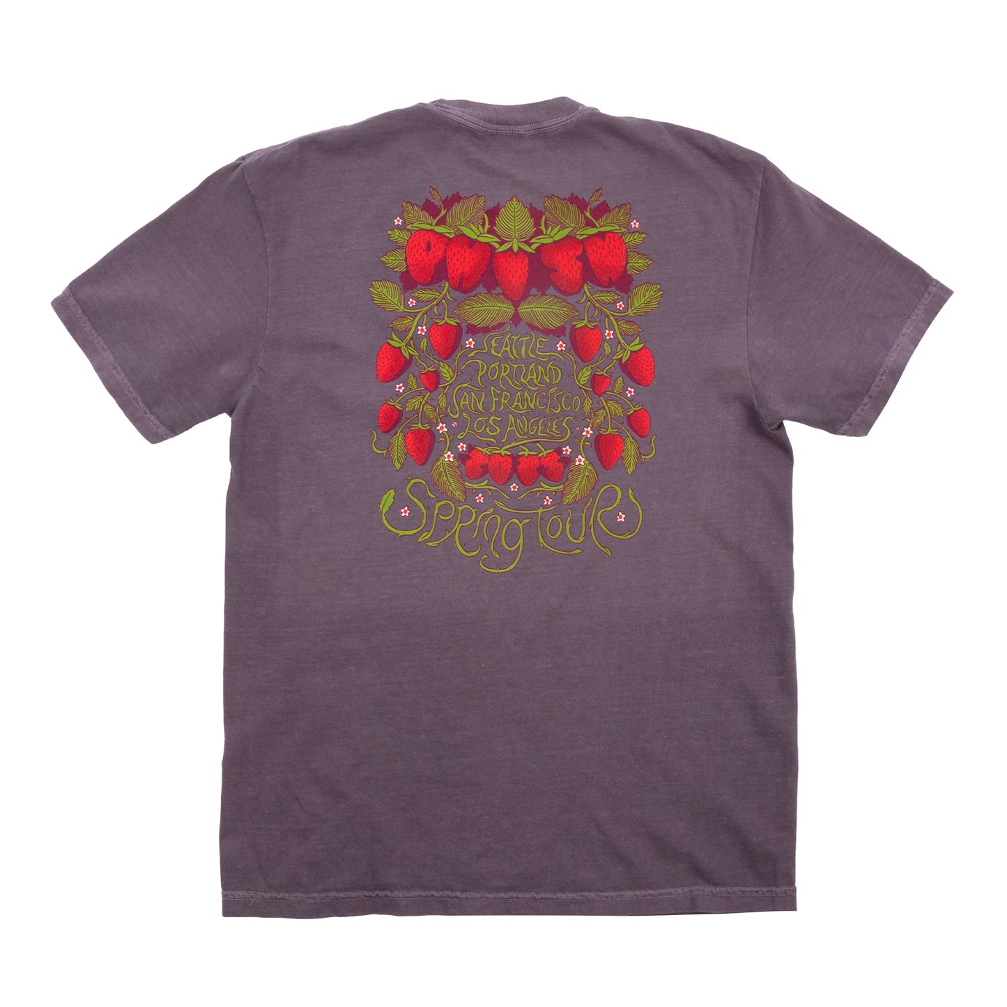 Strawberry Jam Spring Tour Tee