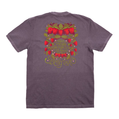 Strawberry Jam Spring Tour Tee