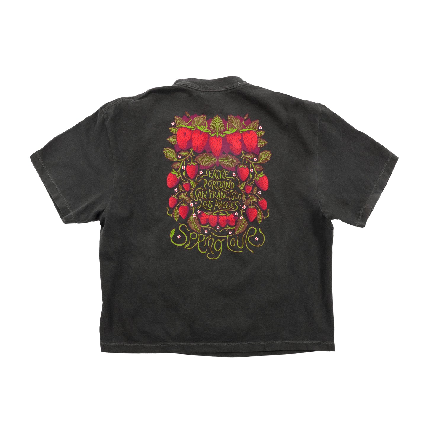 Strawberry Jam Spring Tour Women's Boxy Tee