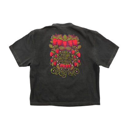 Strawberry Jam Spring Tour Women's Boxy Tee