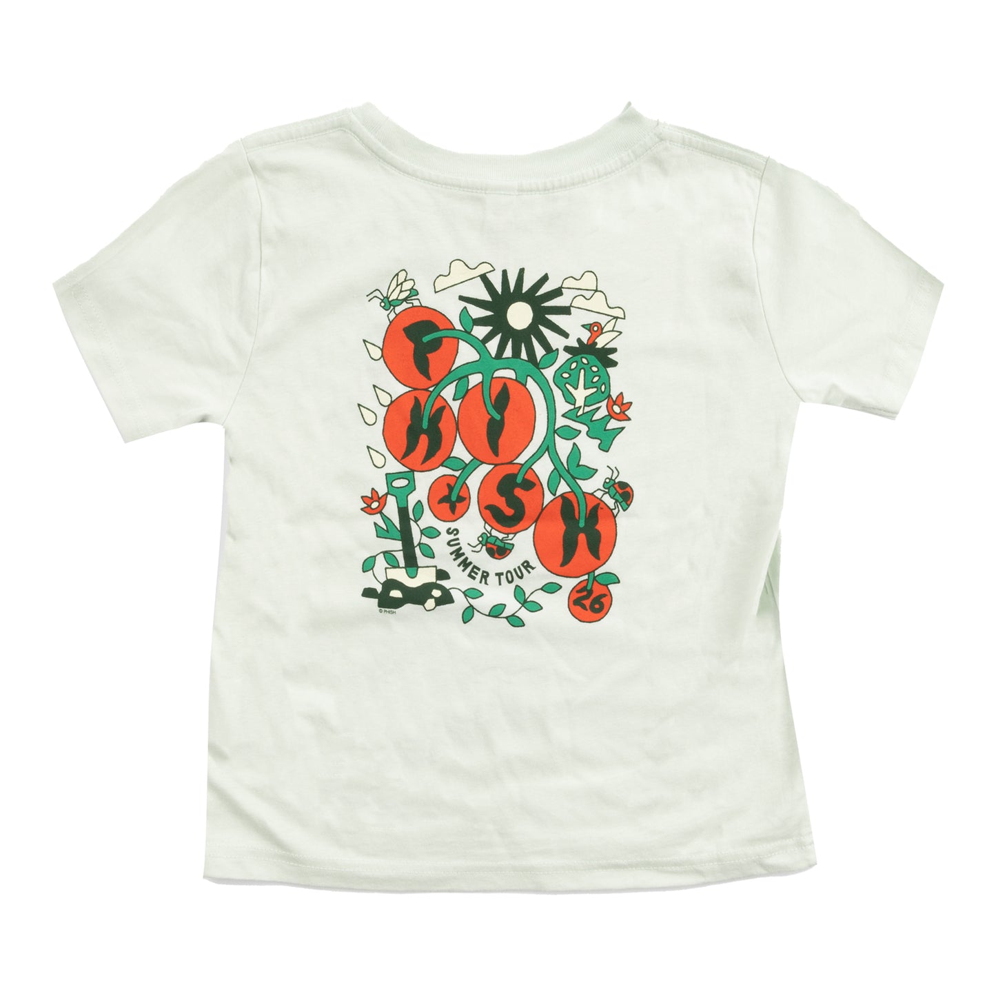 Kid's Homegrown Tomatoes Summer Tour 2026 Tee