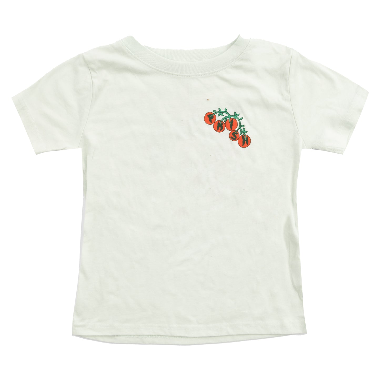 Youth Homegrown Tomatoes Summer Tour 2026 Tee