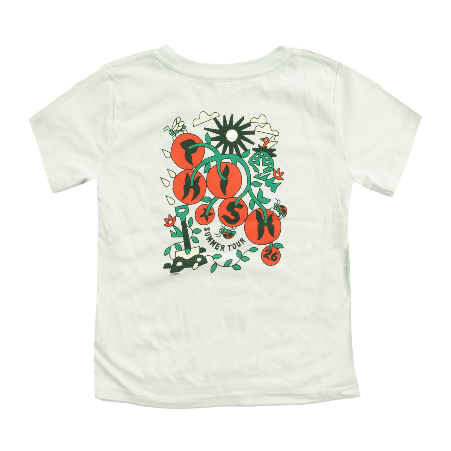 Youth Homegrown Tomatoes Summer Tour 2026 Tee