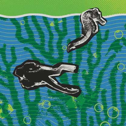 New Year's Eve 1993 Live At Worcester Centrum Limited Edition Poster